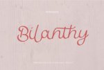 Bilanthy-Fonts-8935733-1-1-580x387.jpg